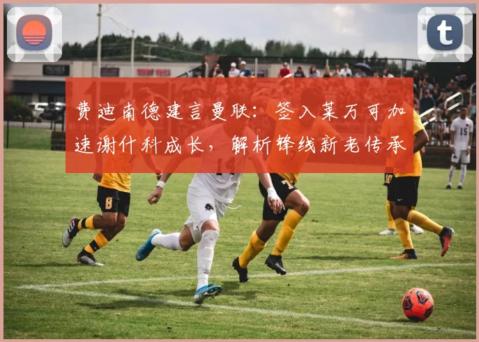 费迪南德建言曼联：签入莱万可加速谢什科成长，解析锋线新老传承策略