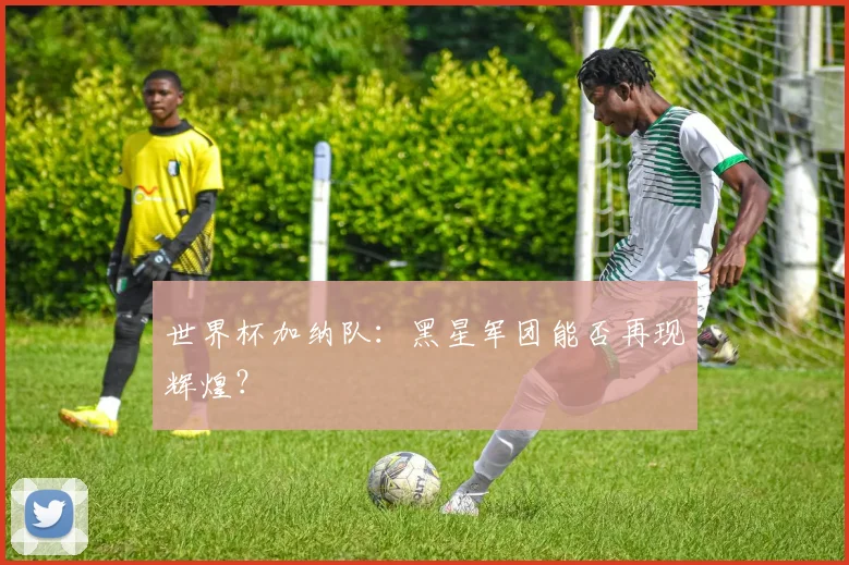 世界杯加纳队：黑星军团能否再现辉煌？