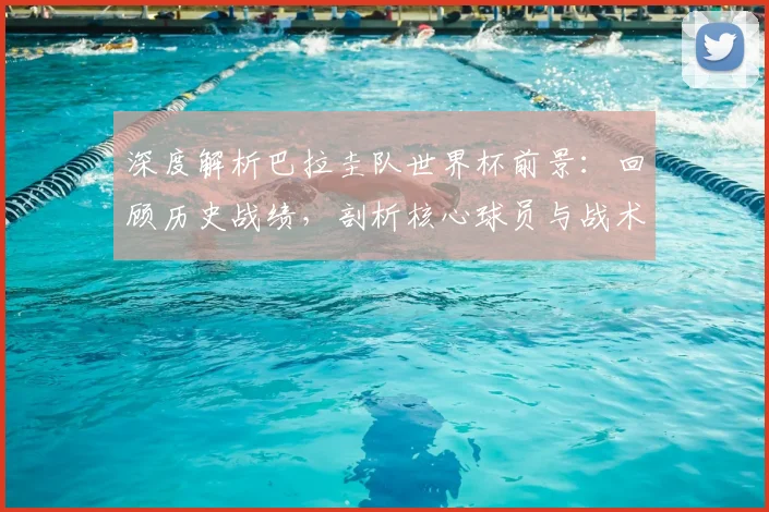 深度解析巴拉圭队世界杯前景:回顾历史战绩,剖析核心球员与战术体系